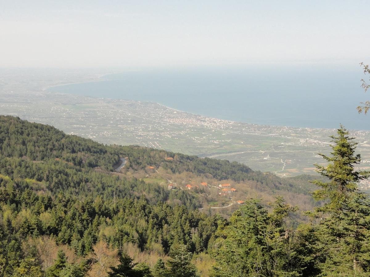 Sintrivanis Mountain Ano Skotina Exteriör bild