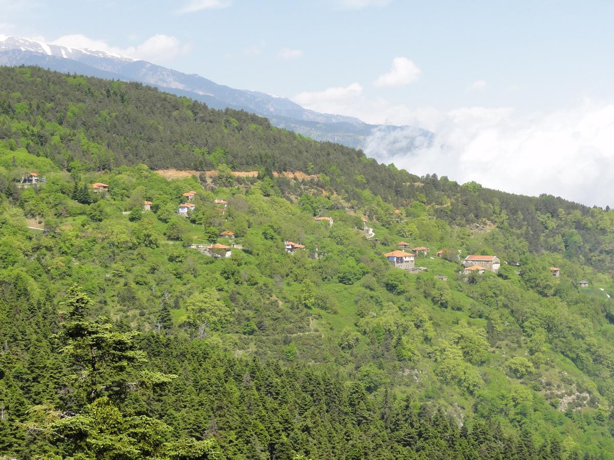 Sintrivanis Mountain Ano Skotina Exteriör bild
