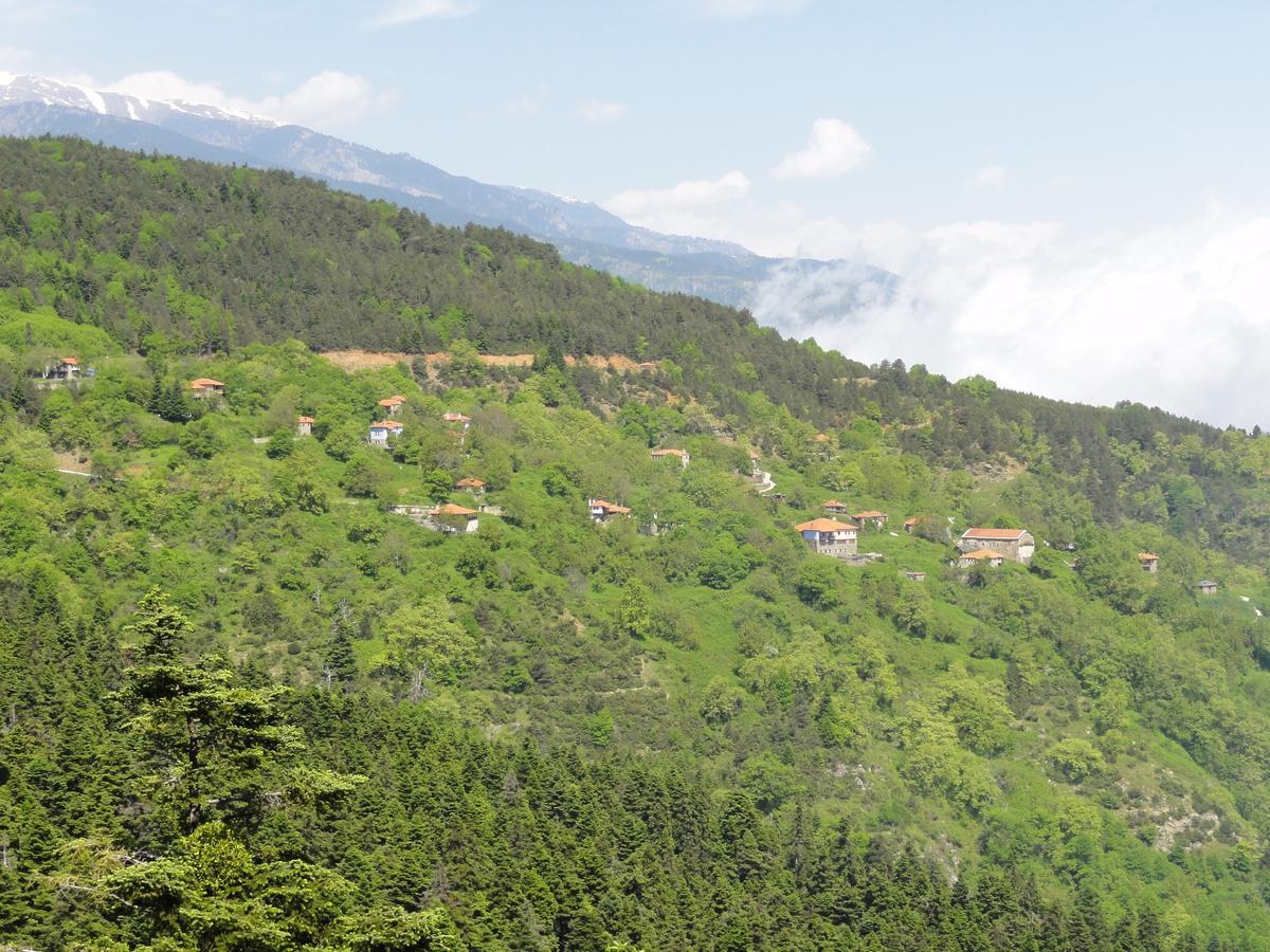 Sintrivanis Mountain Hotell Ano Skotina Exteriör bild